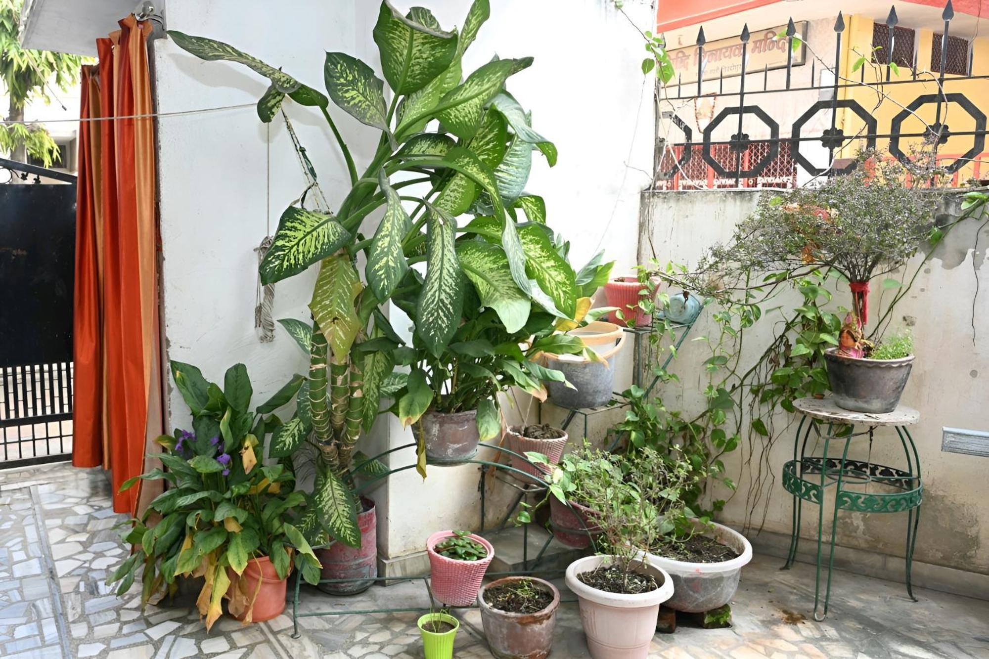 Guest house Siddhivinayak Temple *